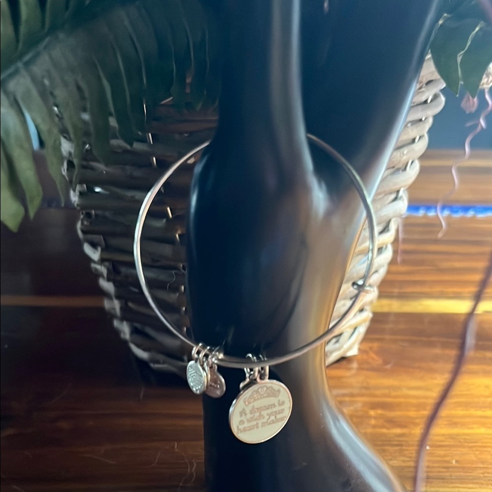 Alex and Ani Silver Charm Bracelet Disney a dream is a wish your heart makes